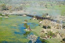 Botswana-Okavango Delta-Okavango Big Five Safari - 6 days